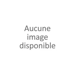 Mocassin uni noir femme (36-41)