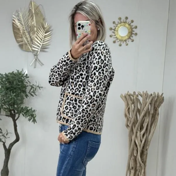 Pull gilet Sharon